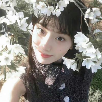 羊入壶口
